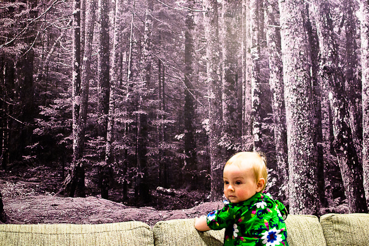 Trees