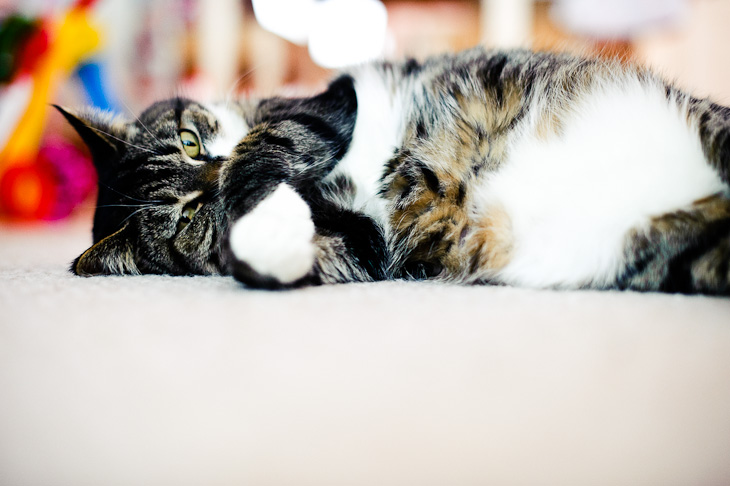 Hells on Christmas Day