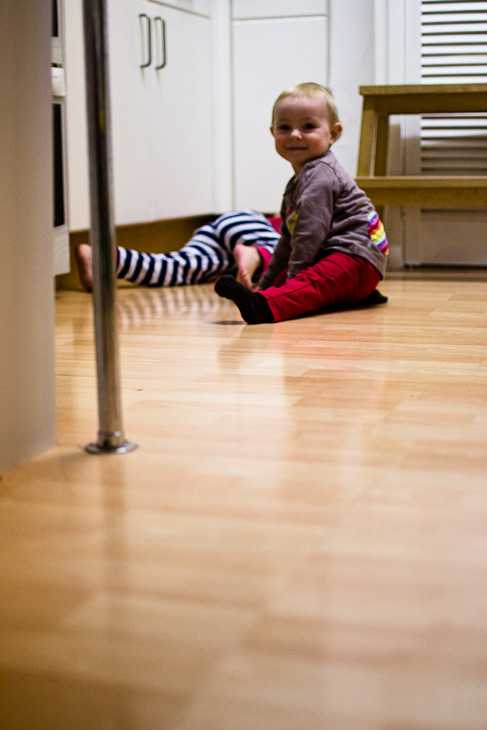 Kitchen crawling